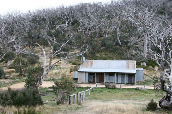 Camping in the High Country
