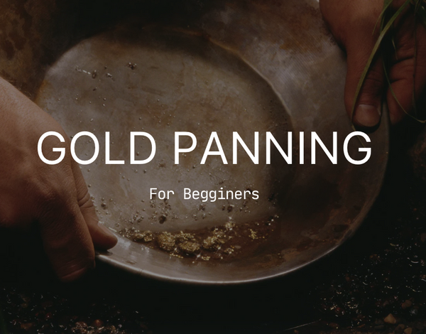 Close-up of a hand holding a gold pan with sediment and small gold particles