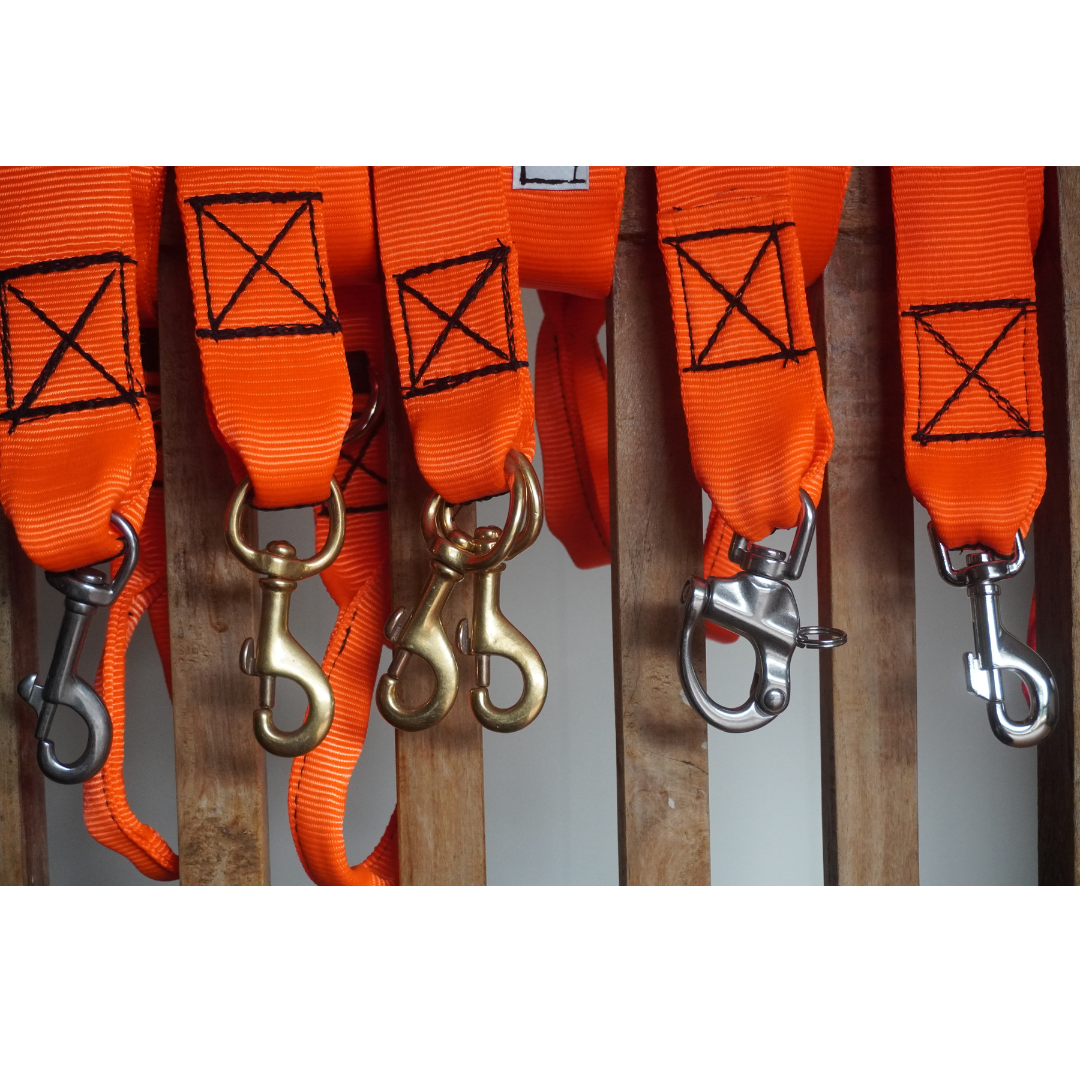 Dog Leads - Summit Outfitters Mansfield