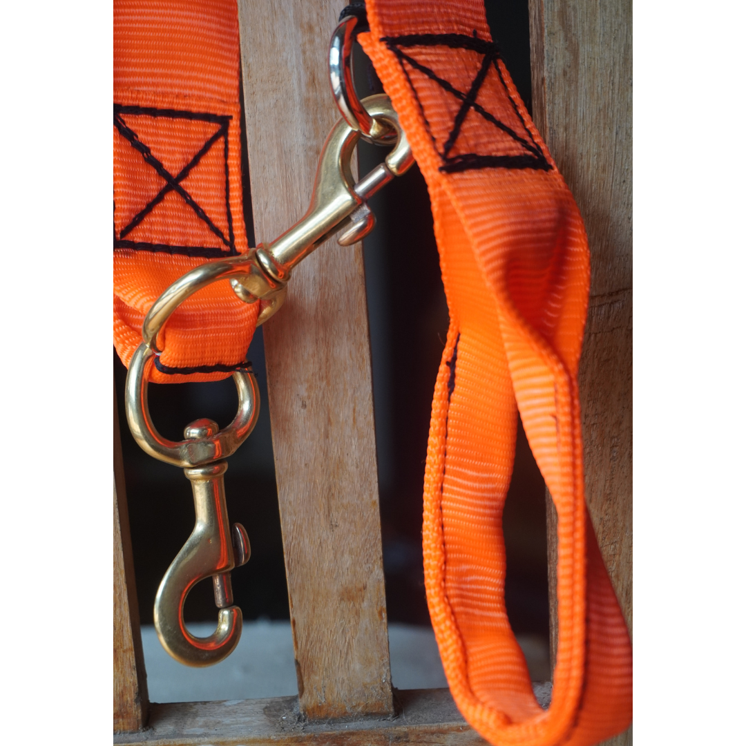 Dog Leads - Summit Outfitters Mansfield