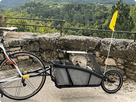 Made-to-order canvas canopies