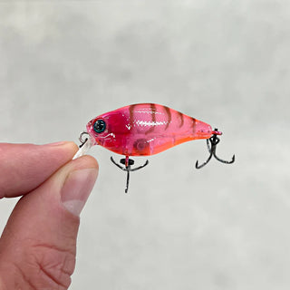 JACKALL | CHUBBY 38F - Pink Suji Shrimp - Summit Outfitters Mansfield